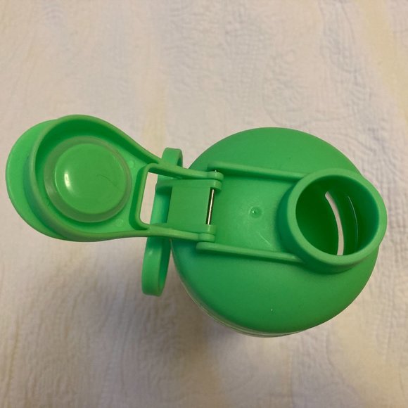 Tea-Infused Water Bottle - Picture 2 of 4